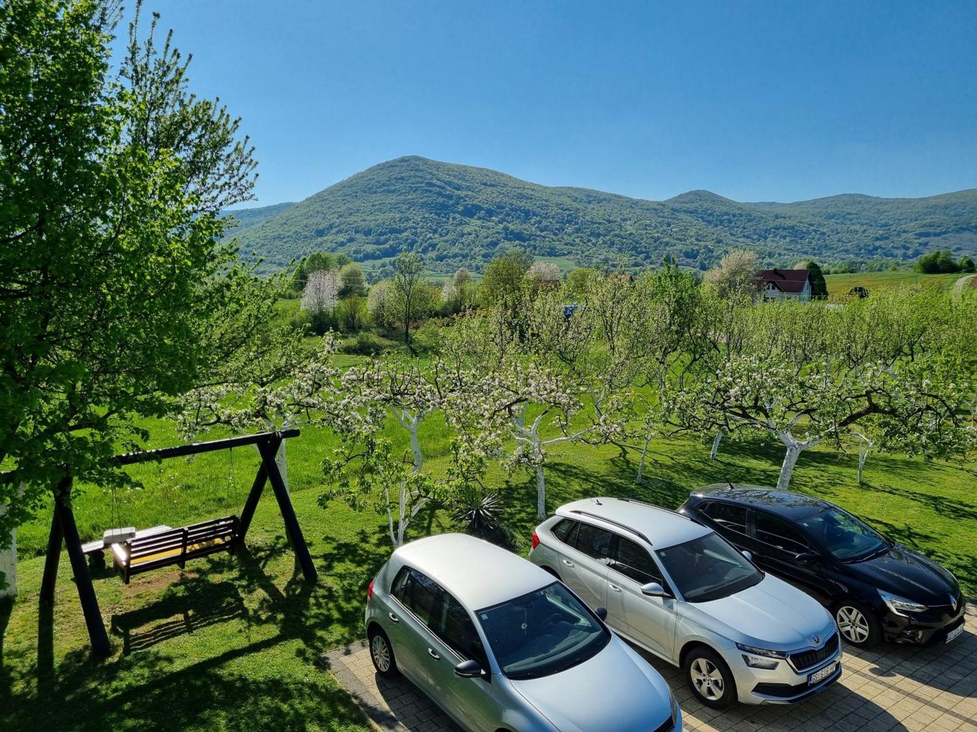 Apartment Rosandic Smoljanac Kültér fotó