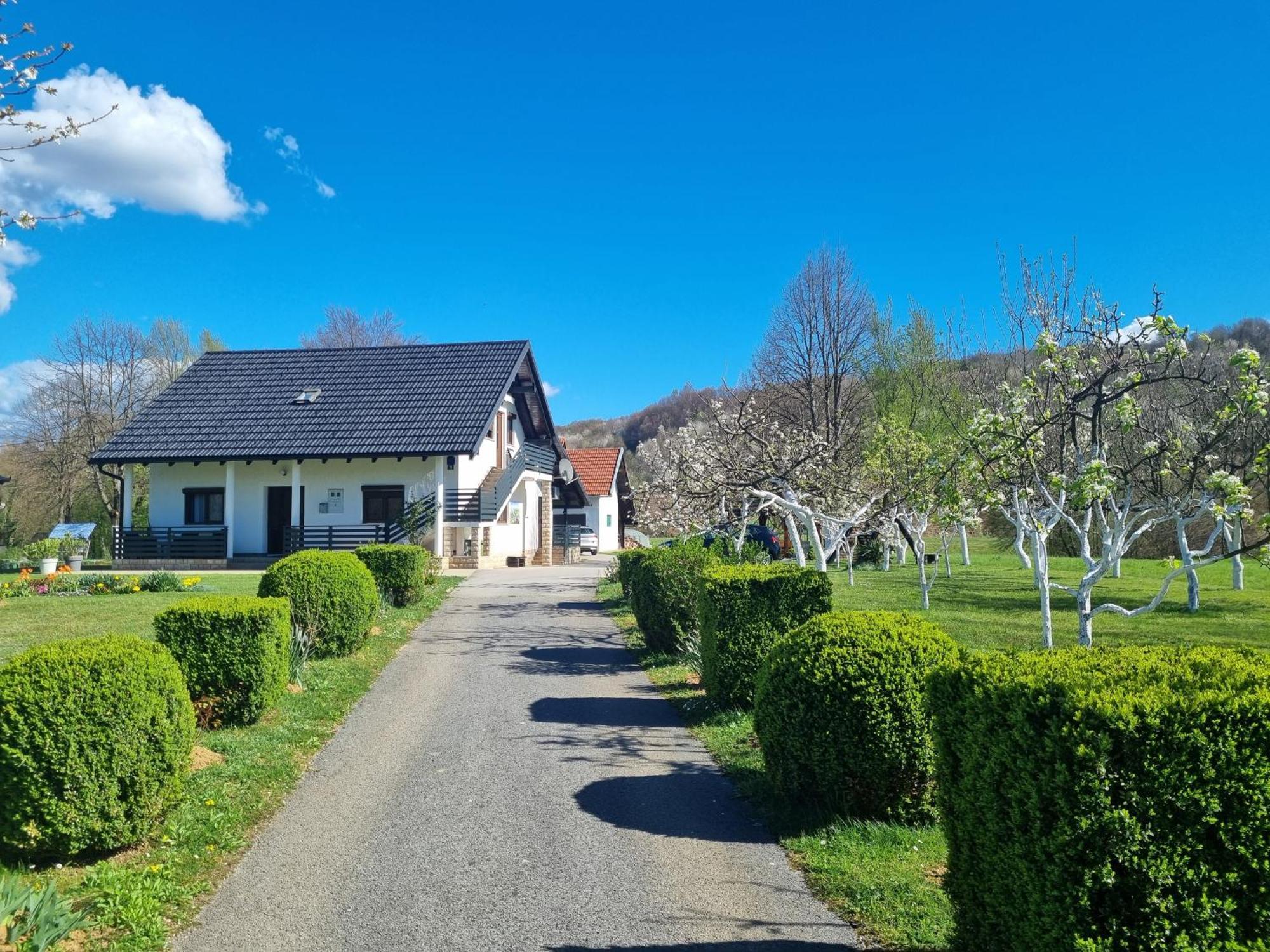 Apartment Rosandic Smoljanac Kültér fotó