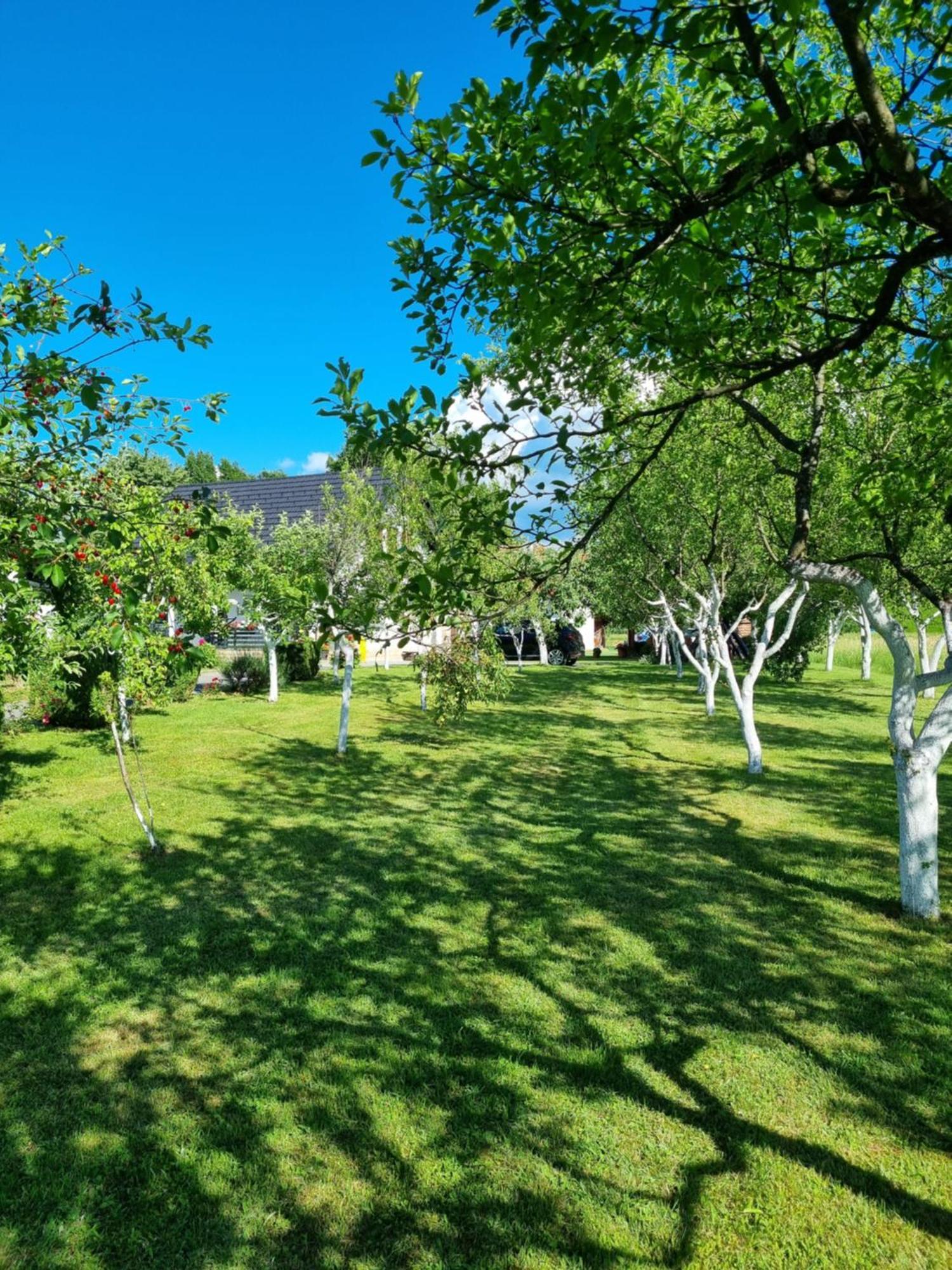Apartment Rosandic Smoljanac Kültér fotó